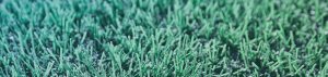 Artificial turf fields with Rubber granulate